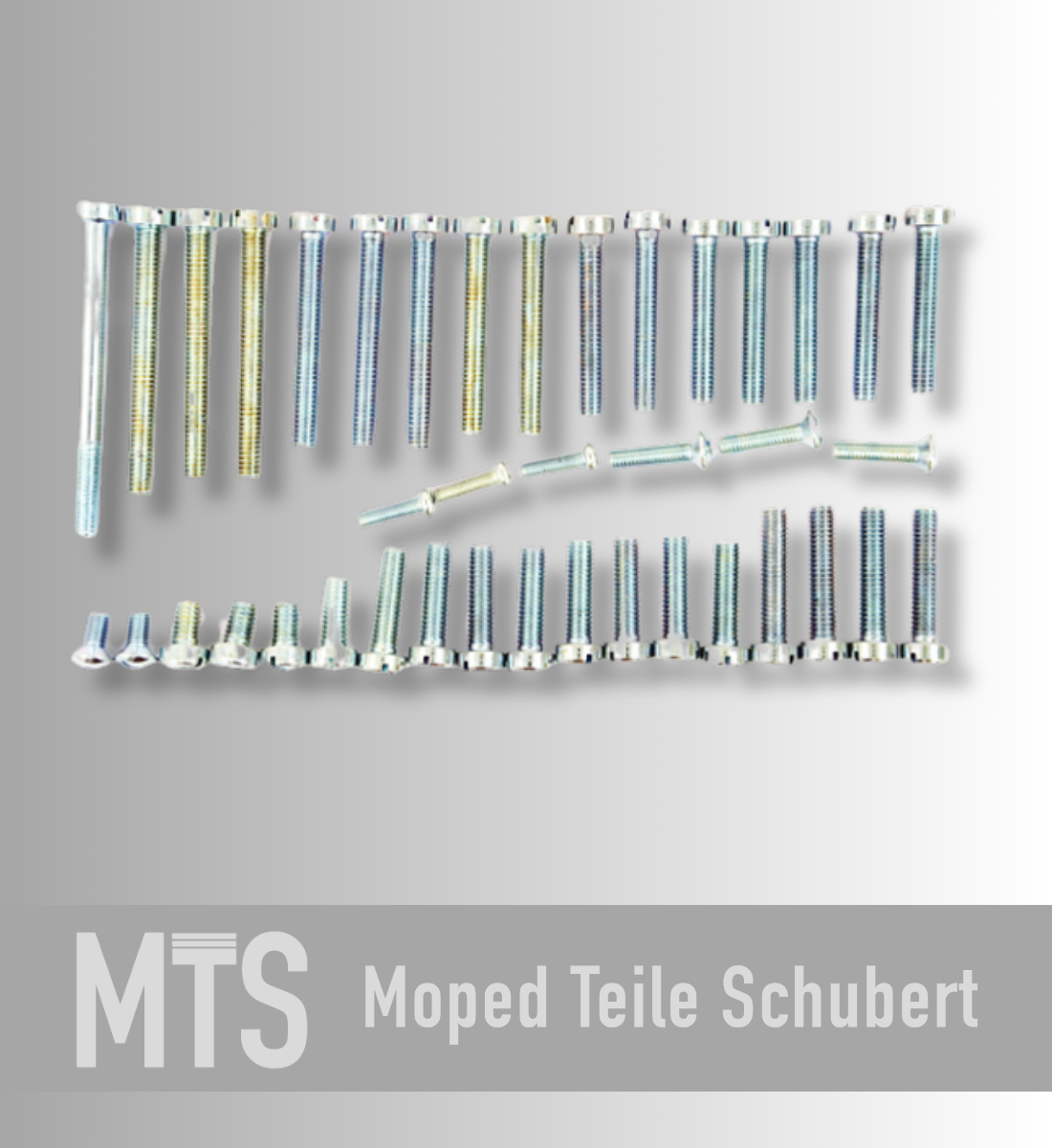 Schraubensatz, Motor NTS für Sachs 50/3 & 50/4